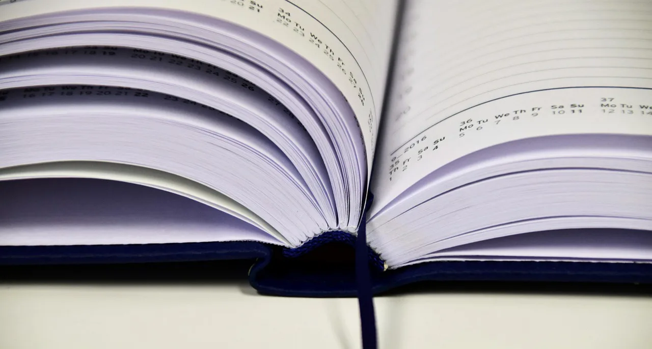a book, notebook, write, notes, write down, diary, booklet, paper, enter, empty, book pages, note, book calendar, blue, office, to learn, to study, pitched, open book